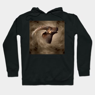 Ibex Hoodie